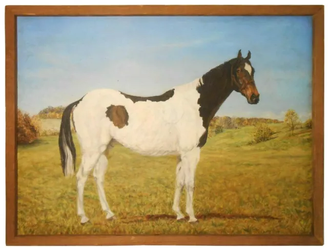 HELENE ALISON (AMERICAN, 20TH C) VINT SGND O/C SPOTTED PINTO HORSE in OPEN FIELD