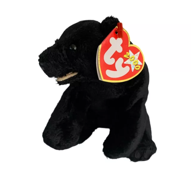 Cinders the Black Bear Retired TY Beanie Baby 2000 PE Pellets Excellent Cond