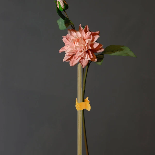 50 PCS FRUIT and Vegetable Holder Tomato Stem Support Clips Plant