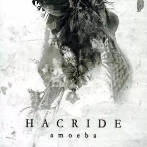 Hacride : Amoeba [deluxe Slipcase] CD (2007) Incredible Value and Free Shipping!