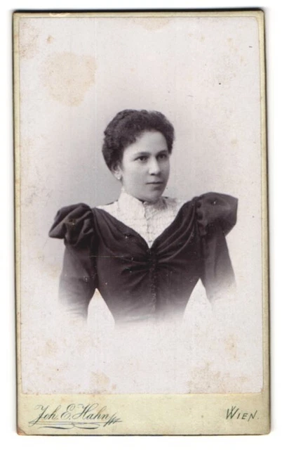 Fotografie Joh. E. Hahn, Wien, Mariahilferstrasse 105, Junge Dame im Kleid