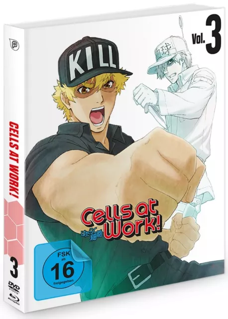 Cells at Work! - Vol.3 - Episoden 11-14 - DVD + Blu-Ray - NEU