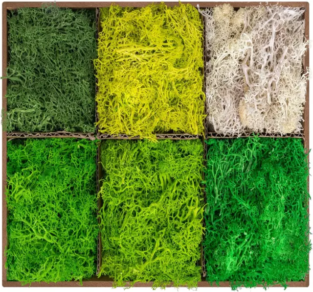 1.5sq. Ft Preserved Moss Pole Moss Pillow Moss Colored Decorative Moss for Moss  Crafts, Art DIY, Wall Decor (Yellow Green)
