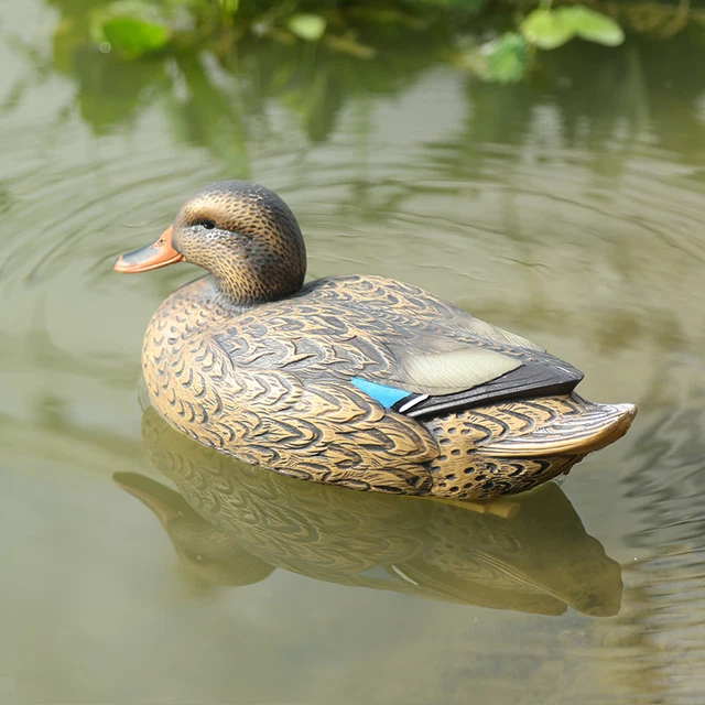 5 Süße Schwimmende Enten-Figuren Für Teich & Garten – Realistisch, Wetterfest & Bewegliche Deko