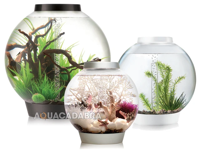 Aquadcadabra's Guide on How to Decorate a Fish Tank – Aquacadabra