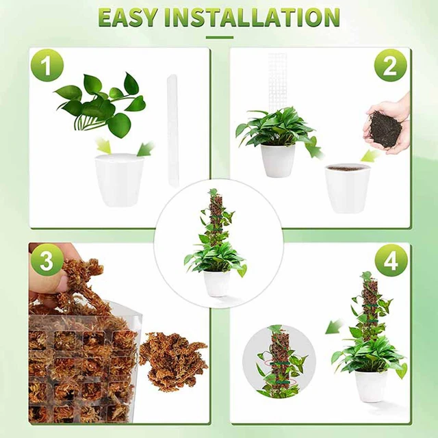 1 Set Pflanzenstangen mit Gartenbinder, Pflanzenstütze, Topfpflanzen, Torfmoos,