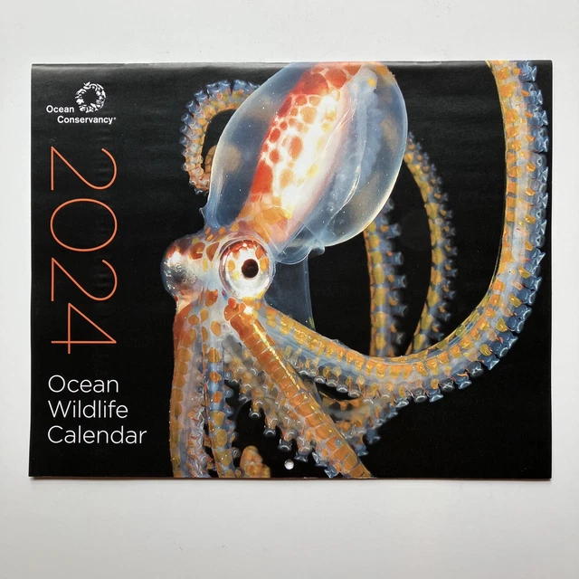 OCEAN CONSERVANCY WALRUS Octopus Seahorse Turtle 16 Month 2024 Wall