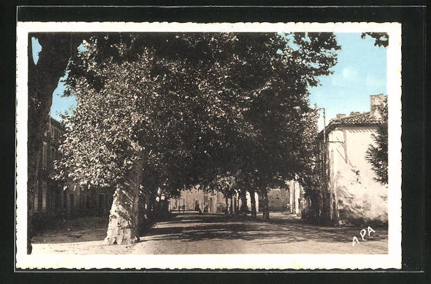 CPA Verdalle, Avenue de Castres