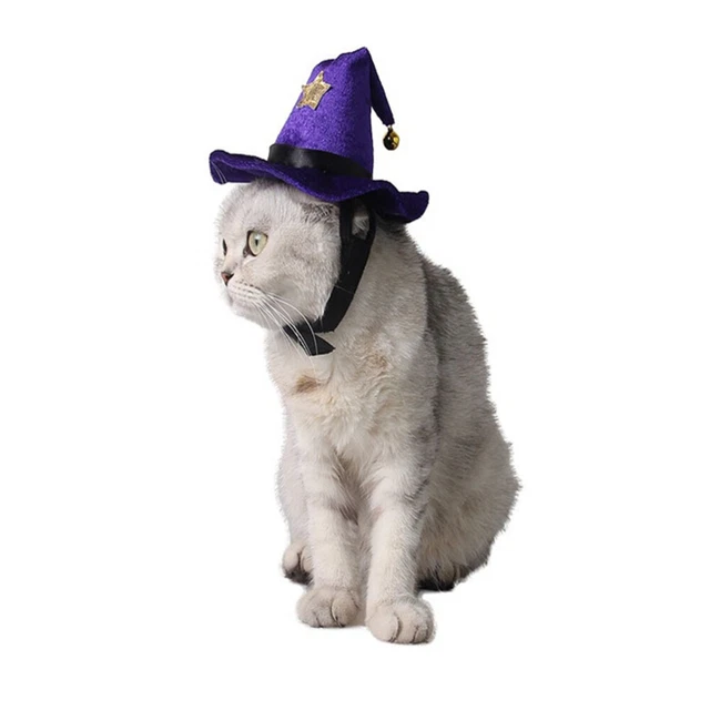 CAT WIZARD HAT Cloak Halloween Costume Top Witch Puppy Outfits £8.25