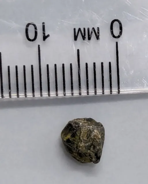 1.3 carat Queensland AUSTRALIA uncut Rough SAPPHIRE (U2778)