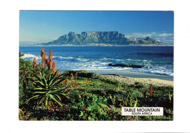 AK Ansichtskarte Table Mountain / South Africa / Südafrika