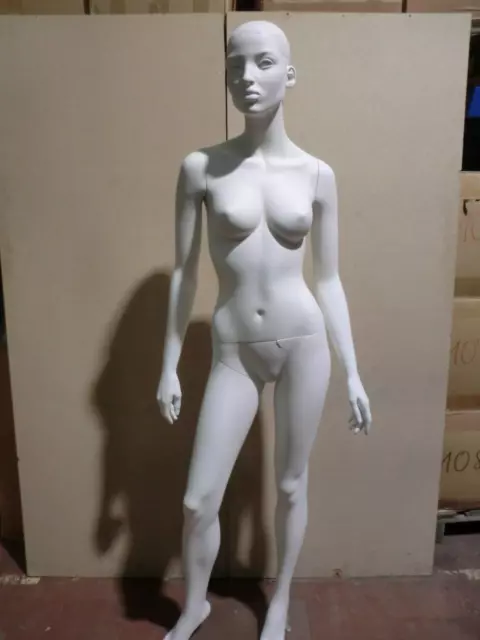 Mannequin Doll Fashion Doll Female 11120 Woman Doll Bust