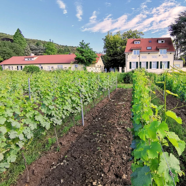 Pfalz Weinstraße Bad Dürkheim | Hotelgutschein 2 Nächte + HP 2P | Kurzurlaub