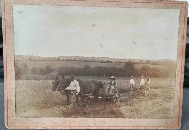 Antique Photo cliché image Le travail aux champs en famille chevaux moisson 2