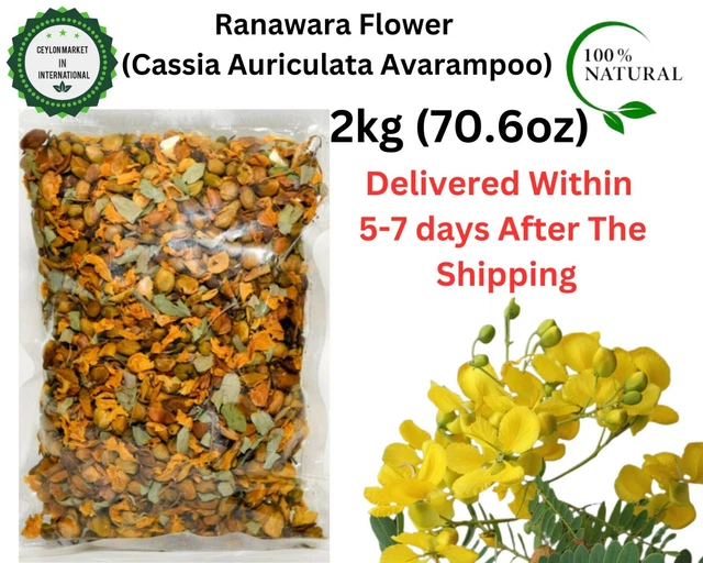 Avarampoo de hierbas ayurvédicas flor seca Ranawara Cassia Auriculata 2 kg (70 oz)