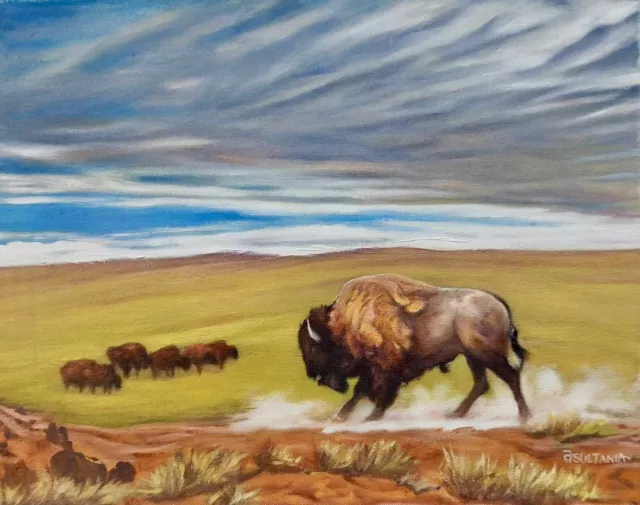 Buffalo Western Indian American Bison Oil Painting Signed Original