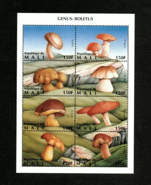 Mali 1996 - Boletus hongos, hongos - Hoja de 8 V - Scott 764 - Estampillada sin montar o nunca montada