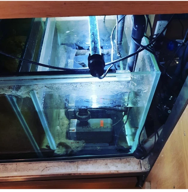large aquarium fish tank used 3