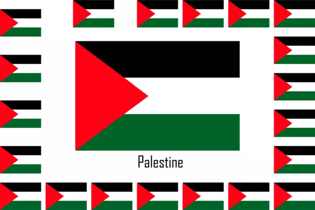 Assortiment lot de 25 autocollants Vinyle stickers drapeau Palestine