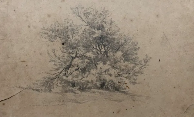 Old Drawing Dated 1847, Grove, Trees, Lead Mine, 19th Century