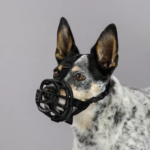 Company of Animals - Baskerville Dog Ultra Muzzle - Various Sizes