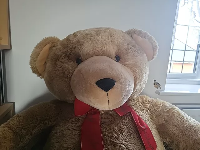 XL teddy Bear, Hamleys 3