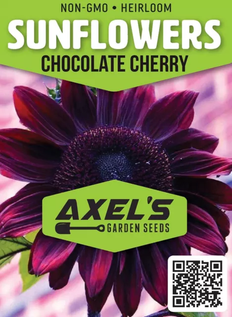 Sunflower Seeds - Vibrant Heirloom Rare, Free Shipping, Chocolate Cherry 2