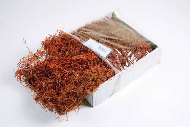 Musgo de selva, material natural, manualidades, decoración naranja 350g, aprox. 5l de volumen
