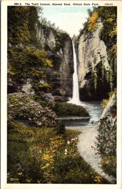The Tonti Canyon Starved Rock Illinois State Park Waterfall Flowers Postcard B24