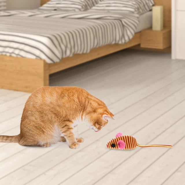 12 Pcs Exercise Cat Toy Cat Mice Toys Indoor Cats Catnip Toy Rc Toy Double Line 5