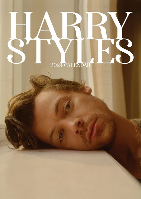 HARRY STYLES 2024 Calendar - Deluxe Range $8.14 - PicClick