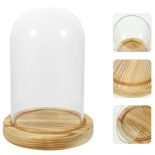 Cloche En Verre Avec Base En Bois - Dôme Décoratif 9x12cm Pour Exposer Objets, Fleurs, Bougies