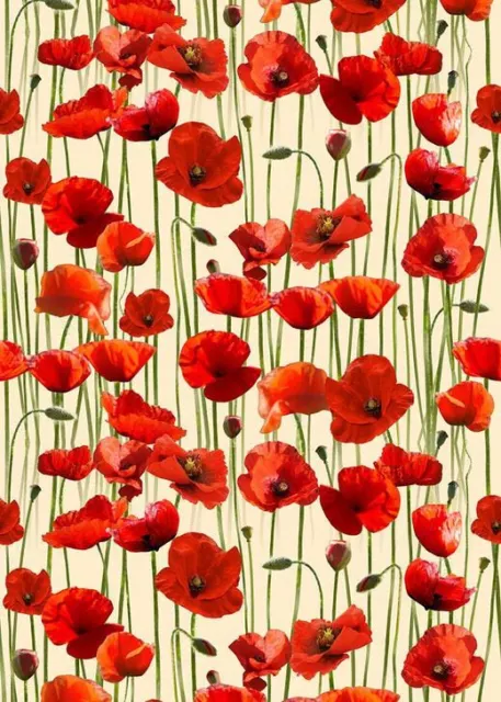 Anzac Day Remembering Day Red Poppies Cream 108" Wide Backing Cotton Fabric 1/2Y