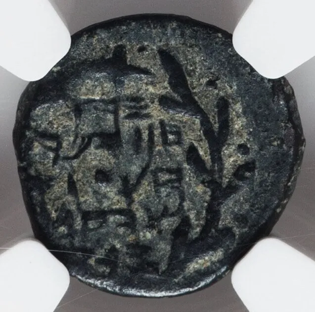 NGC VF J Hyrcanus Judaea Widows Mite Bible Hasmonean Coin 135-104 BC AE Prutah