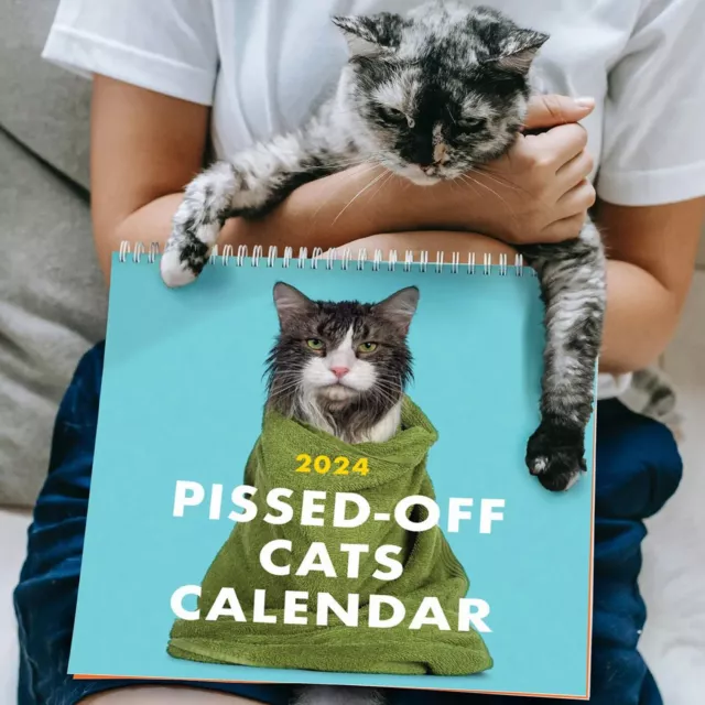Bad Cat Wall Calendar 2025 Jorey Eachelle