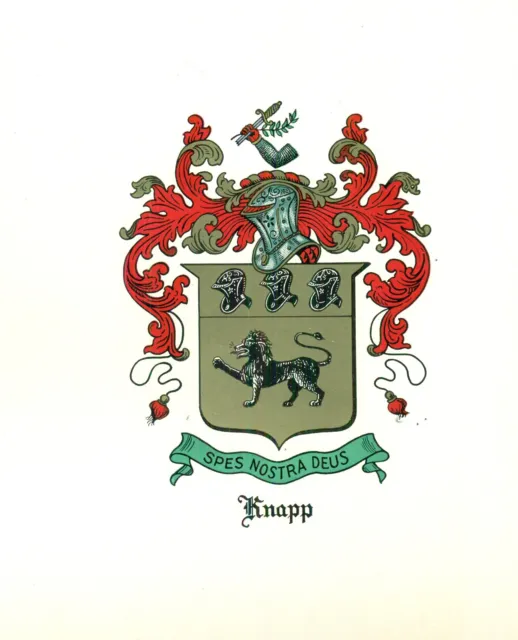 *Great Coat of Arms Knapp Family Crest genealogy, would look great framed!