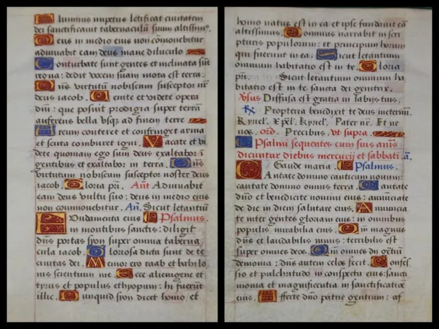 Handschrift Pergament Blatt aus Stundenbuch um 1500 viele farbige Initalen (08)
