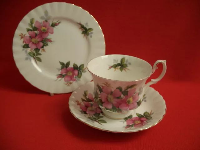 Royal Albert ~ Prairie Rose ~ Trio Cup Saucer & Tea Plate