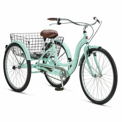 schwinn meridian s4002