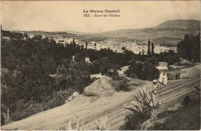 CPA AK MAROC Illustre FEZ Entre les Oliviers (38812)