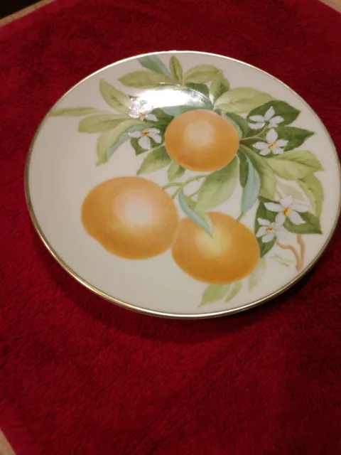 P T Bavaria Hand Painted Porcelain Floral & Oranges Plate Signed & Numbered