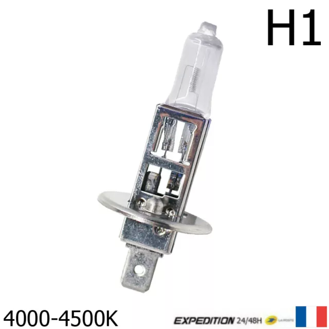 Ampoule - Halogène H1 - 12V 100W - Type Xenon