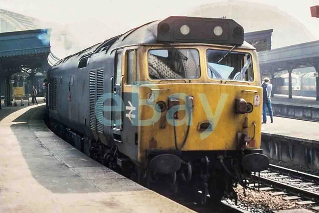 UK DIESEL TRAIN Railway Photograph Of Class 50 50002. Rm50-15 £1.70 ...