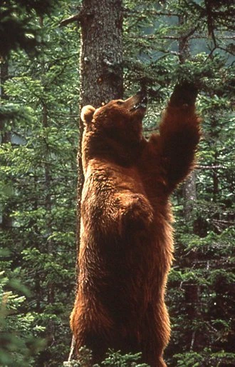 Lot De Ressorts De Compression Acier Inox 304 - Fil 0.7mm, Diamètre Ext. 5-12mm - Pour Mécanique, Modélisme