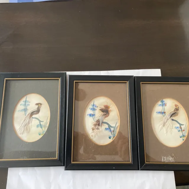Lot of 3 Vintage handmade bird picture in a picture frames 5x7 inches