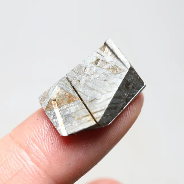 5g  Muonionalusta meteorite part slice C7356