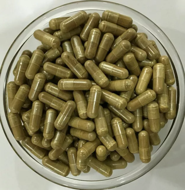 Moringa Oleifera Leaf Extract Capsules 10:1 Antioxidant Energy Booster