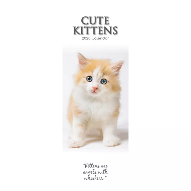 2023 Cute Kittens - Slimline Slim Wall Calendar Hanging Planner New Year Gift
