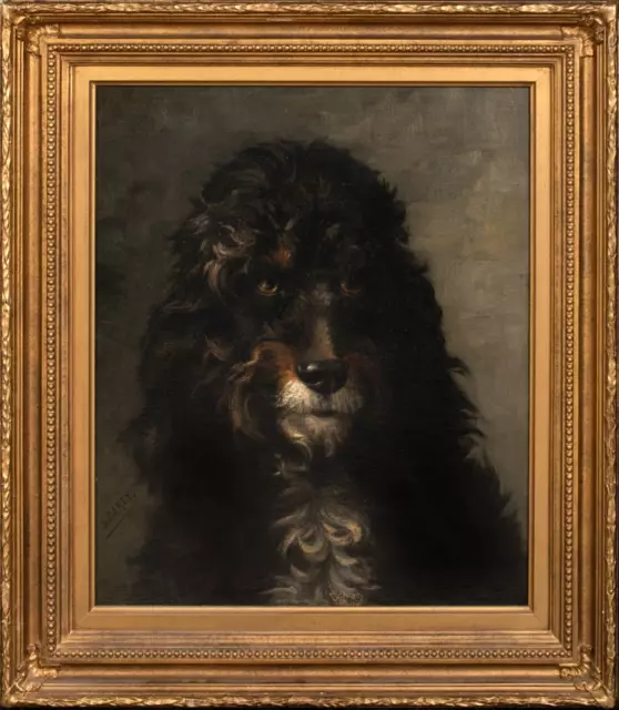 Large 19th Century French Standard Poodle Dog Portrait LOUIS DAREY (1863-1914)