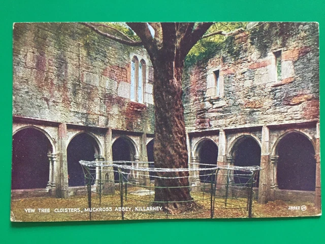 AK PPC Eire Irland Cloisters Muckross Abbey Killarney to USA 21.06.1914 Top Rare